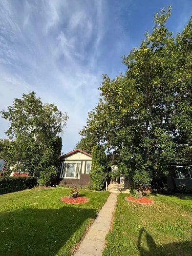 65 chappel drive Image# 1