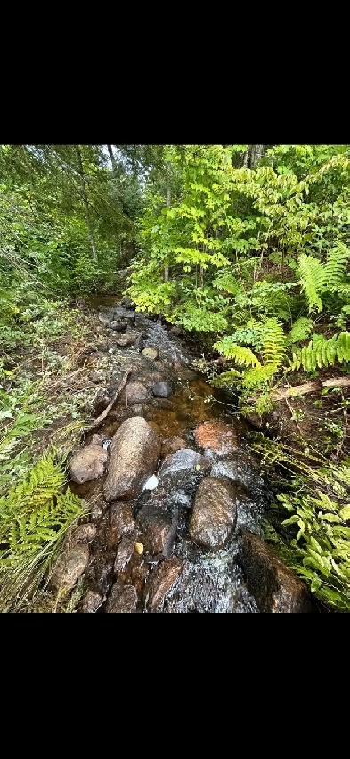 terrain St-Alexis-des-Monts Image# 1