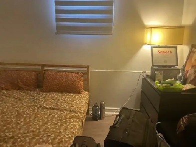Rooms for rent in Scarbrough private/sharing Image# 1