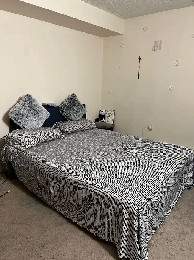 room for rent Image# 1