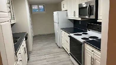 One bedroom lower suite Image# 1