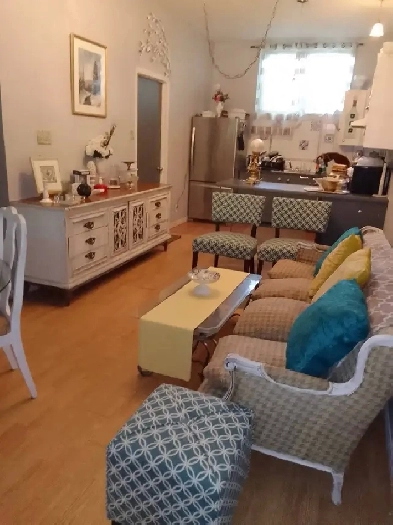 4.5 demi sous sol près métro Cadillac Image# 1