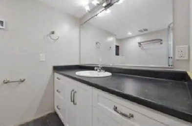 2 beds 1 bath (available now) Image# 6