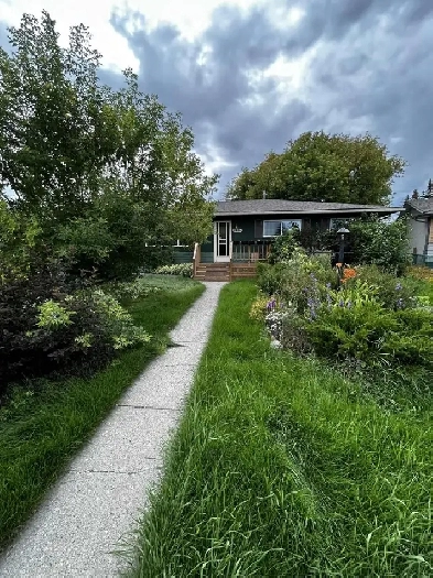 3 bedroom full house   garage fenced yard -Available Immediately Image# 7