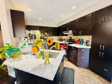 FEMALE ONLY- Room with PRIVATE BATHROOM for ONE PERSON ONLY. Image# 1