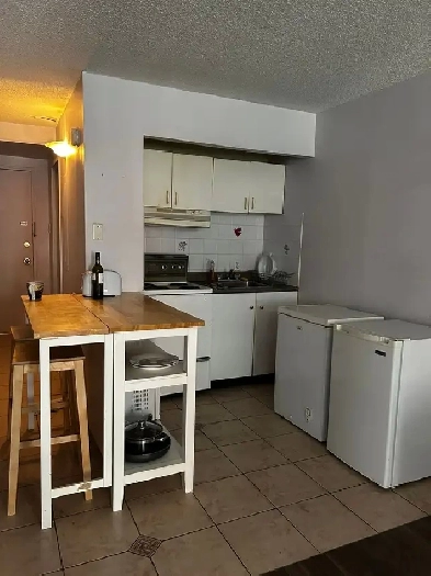 Downtown Studio Condo for Rent(4 to 8 months) Image# 5