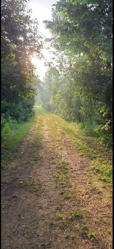 Terre agricole avec opportunités Image# 3
