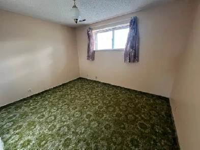 Basement suite for rent in Center St Image# 1