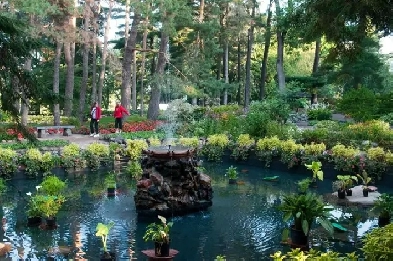 Affordable Furnished Room for Rent for Female Student/Working