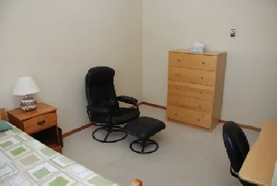 2 Furnished room 6 minute walk from Algonquin College Image# 1