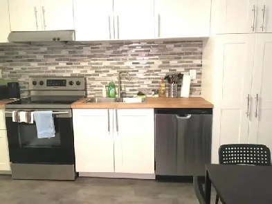 Room for rent close to dows lake little italy Image# 1