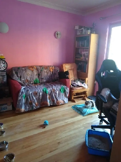 Appartement 3 1/2 dans Rosemont Métro Pie-IX (Cession de bail) Image# 1