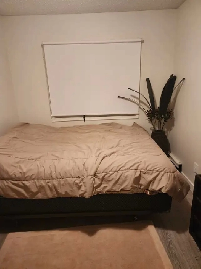 Roommate wanted to share two bedroom apartment in southwest Image# 1