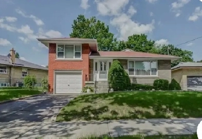 2 unit  basement apartment( private kitchen and washroom) Image# 3