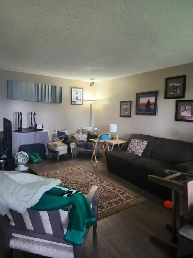 ★★★ 3 bed 1 bath duplex Oct 1 College Park ★★★ Image# 3