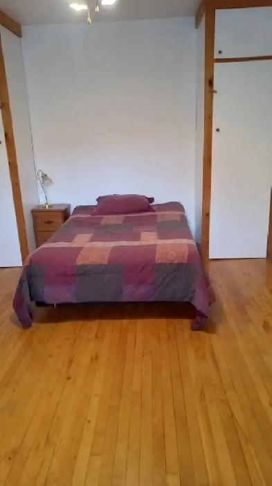 CHAMBRE EN COLOCATION (LIBRE) ÉTUDIANTE OU TRAVAILLEUSE Image# 1