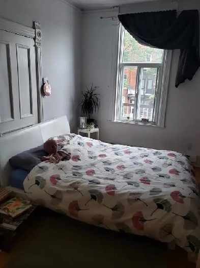 Colocation chambre à Montréal (Mile-End) Image# 1