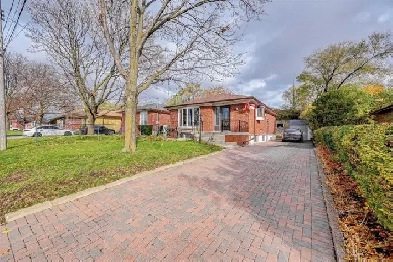 3 bed 1 bath Basement apartment for rent Image# 1