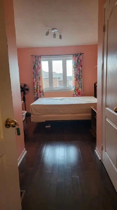 Room for rent for studends attending Seneca King College Campus Image# 1