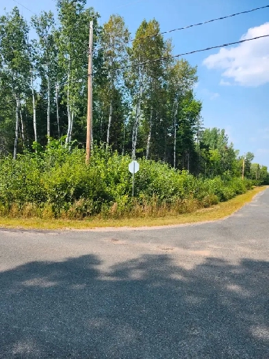 TERRAIN DE COIN À VENDRE Image# 1