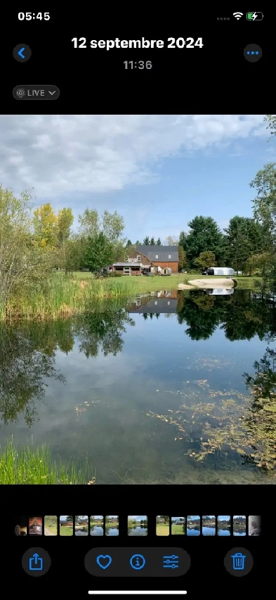 Domaine 17 acres 3/4 boisé avec lac privé Image# 5