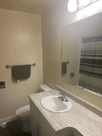 Apartment for rent $1250.00 Image# 6