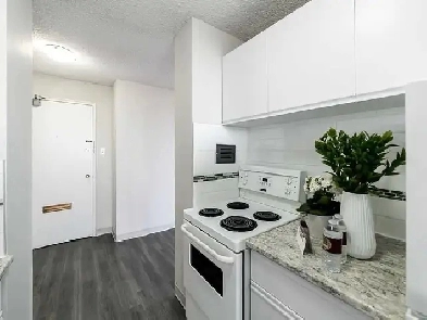 Beautiful Callingwood two bdrm suite Image# 3