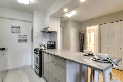 1436 Mackay Street - Le 1436 rue Mackay Apartment for Rent Image# 1