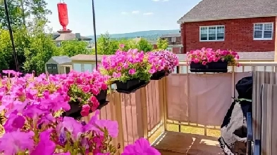 Appartement 4 1/2 à louer à Magog dès le mois de Septembre 2025 Image# 2