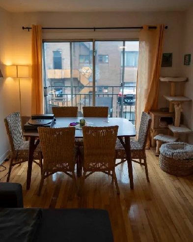 Appartement 4 1/2 Vieux-Rosemont Image# 1