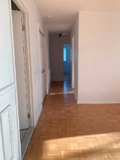4 1/2 à louer à Longueuil Image# 2