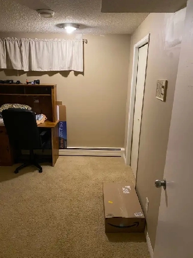 room for rent in a basement Image# 5
