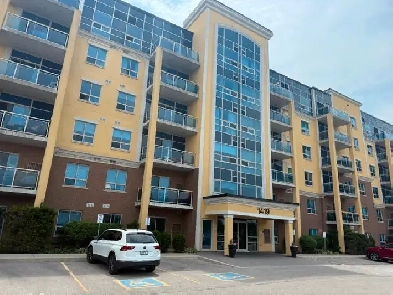 Appartment for RENT Image# 1