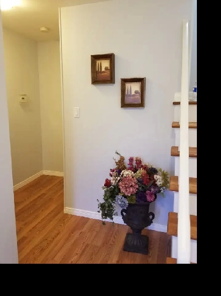 Basement, Yonge & Finch, 1 bed & 1 bath, Rent $1,600 a month Image# 6