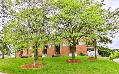 Amazing Deal 3 1 Bed. 2 Bath Image# 1