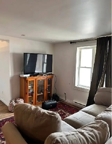 5 1/2 appartement Mont Blanc laurentides Image# 1