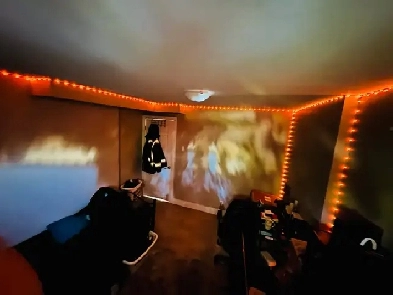 Private Room for rent with seperate entrance Image# 2