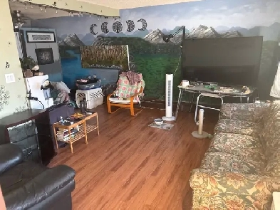 roommate needed Image# 2