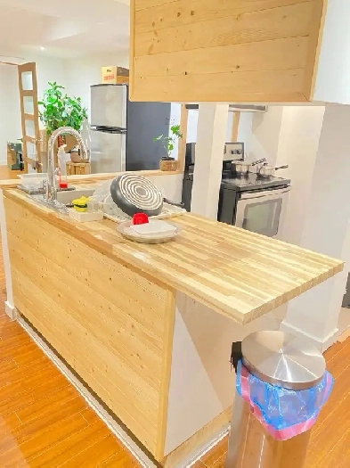 Grand 3 1/2 Aire ouverte Style Chalet Image# 1