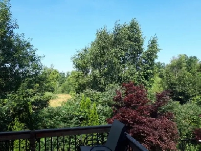 Apartment for Rent in Richmond Hill - Best Quality Furnished Apt Image# 3