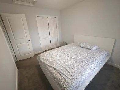 Calgary one bedroom ,no private washroom Image# 1
