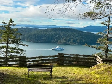 Cabin for Rent at Cloud 99, Awesome Hideaway Image# 12