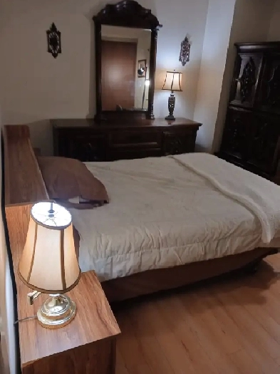 ROOM RENTAL SINGLE MALE IN RICHMOND HILL Image# 8
