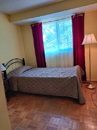 Room for Rent Image# 2