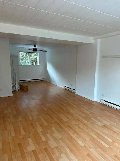 3 br Townhouse in Downtown Toronto for rent Image# 3