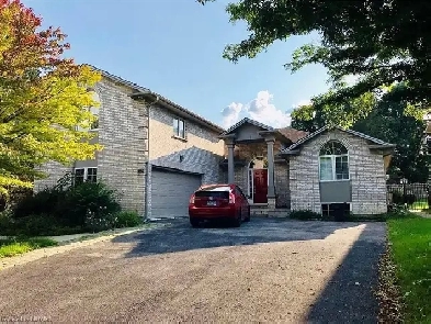 All-Inclusive 4-Bedroom Basement Suites for Rent for Students Image# 1