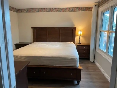 Room for rent - 5 minutes walk to St. Clair College Image# 1