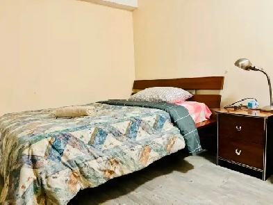 Private Room walk to UTSC & Centennial College | All Included Image# 1