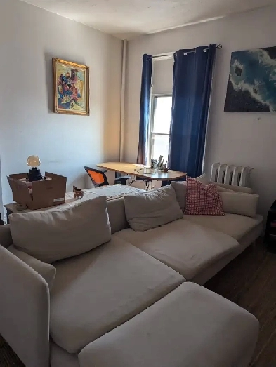 Little Italy apartment for rent/sublet Image# 1