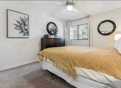 Fully furnished one bedroom apartment, available Sep 1 Image# 5